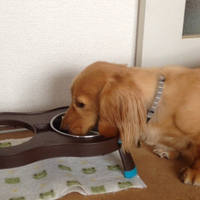 カット✂︎ 2014/06/23 23:26:04