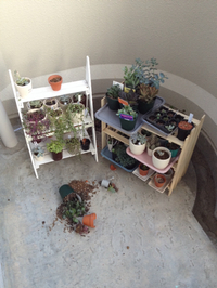 ギャーー！( ꈨຶꎁꈨຶ) 2014/06/30 13:26:11
