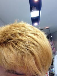 実験 2013/01/10 21:40:05