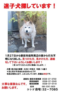 磐田市迷子犬・・転載お願い致します