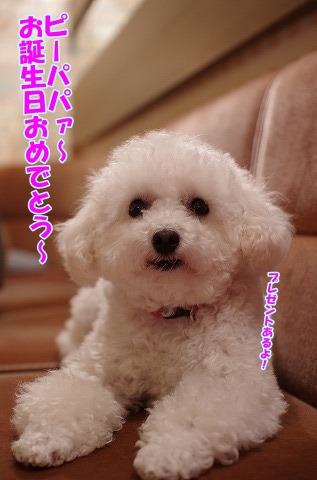 驚愕の誕生会