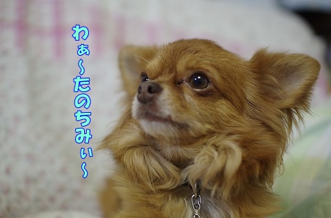 イベント！近況報告