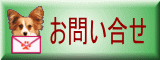 日曜日開催いたします。
