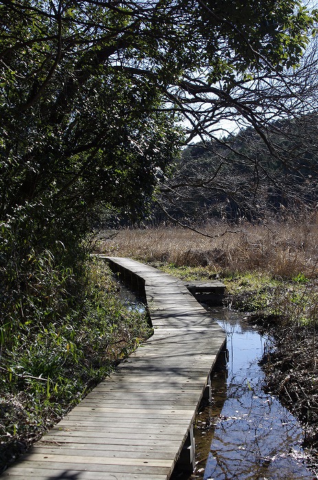 鶴ヶ池