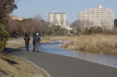 佐鳴湖