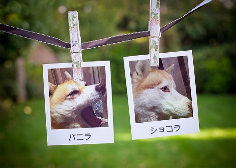 ありがとうございますぅ～久しぶりに①