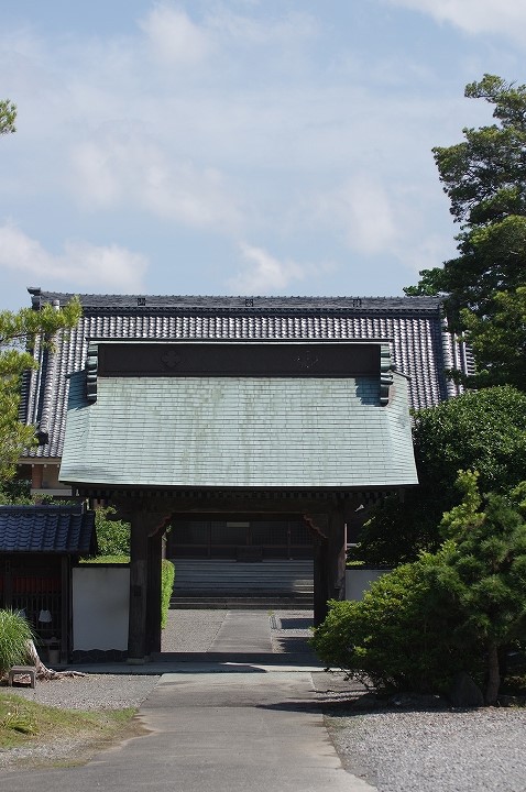 睡蓮咲く候