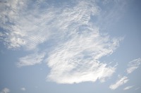 台風一過