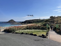 ☆爪木崎☆下田 2023/06/22 14:32:26