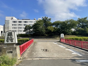 ☆将棋駒☆天童