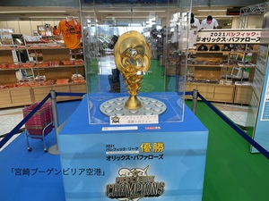 ☆宮崎☆日南