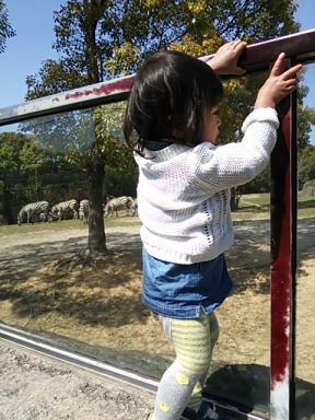 幼稚園の春の遠足☆
