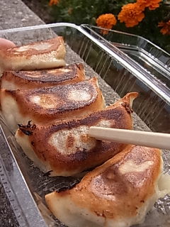 浜松餃子まつりへ行きました！