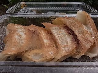 浜松餃子まつりへ行きました！