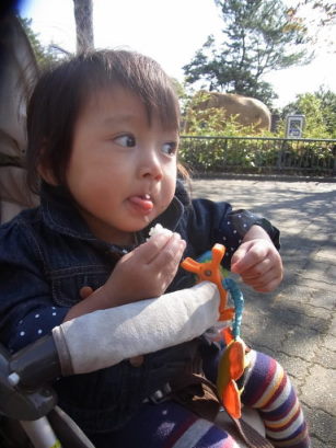 動物園の写生大会☆