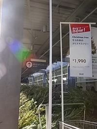 IKEAのモミの木ツリー☆