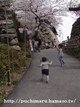 お花見日和♪