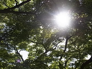 コトコト市♪