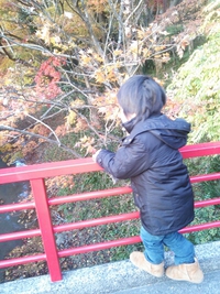 紅葉見納め☆