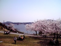 浜名湖SAでランチ 2011/04/11 21:23:53