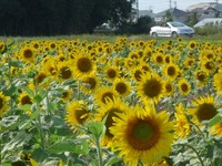 袋井にて 2010/10/08 19:07:53