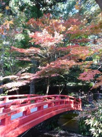 今日の小国神社 2010/11/20 17:54:28