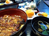 初うなぎ 2011/01/03 18:09:28