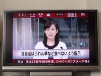 日テレNEWS 24 2011/03/23 14:46:23