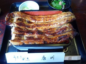 うなぎの康川