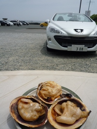 伊良湖 2011/05/16 18:29:53
