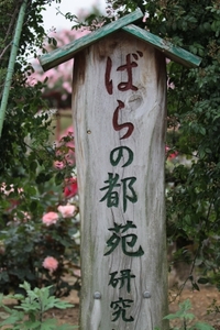ばらの都苑　