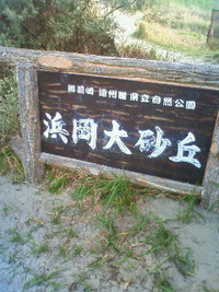 浜岡砂丘