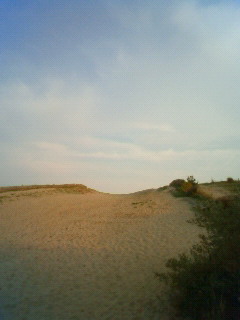浜岡砂丘