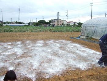 みんなで農業