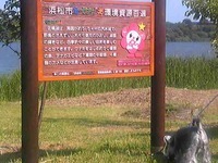 佐鳴湖公園へ 2010/06/27 19:30:44