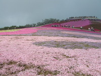 茶臼山は人ばかり 2010/05/30 19:59:03