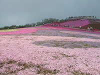 茶臼山は人ばかり