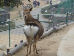 岡崎東公園にて