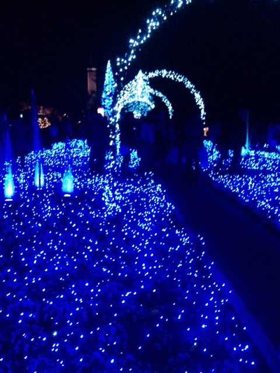 もうスグですね