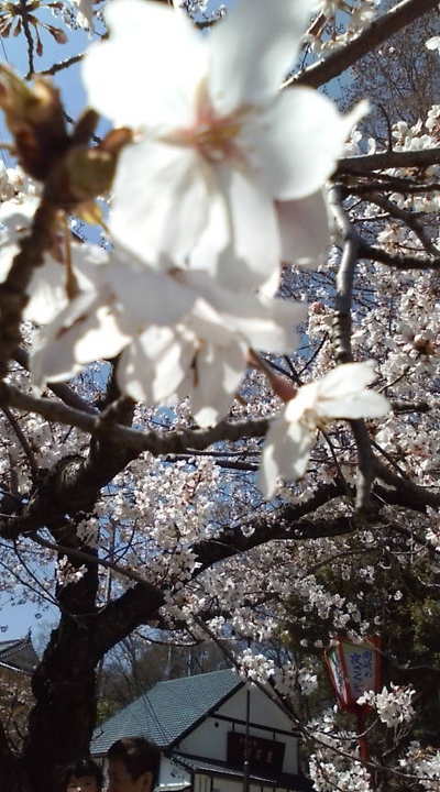 デカすぎでしょ☆