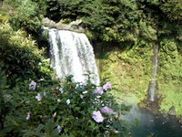 白糸の滝