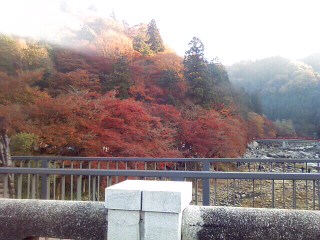 11月29日の記事