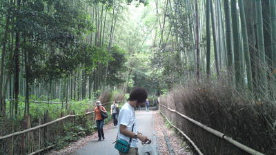 京都旅行その2