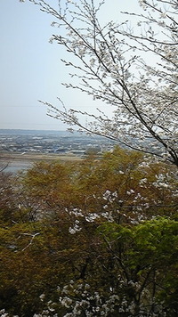 鳥羽山公園 2011/04/11 13:17:52
