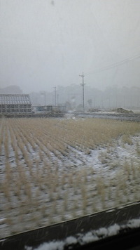 雪ー！ 2012/02/02 18:33:25