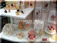 ハマナカ（株）内見会