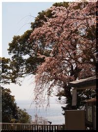 久能山へ