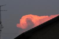 犬雲