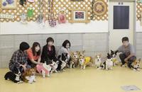 さくドレ　コギ集合 2010/05/26 02:19:52