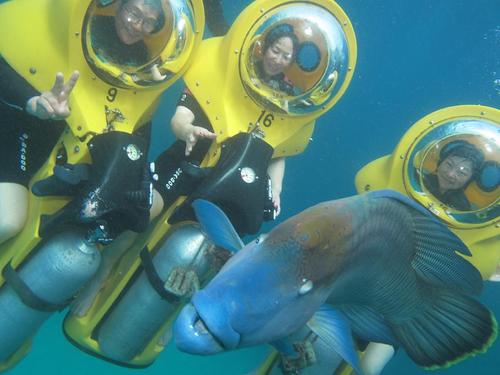ケアンズ　グレートバリアリーフ海中散歩